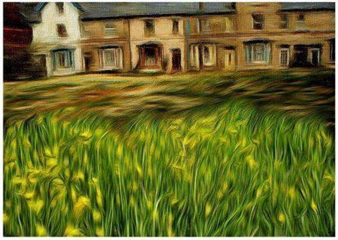 ويلينغتون Hyacinth Bed & Breakfast المظهر الخارجي الصورة