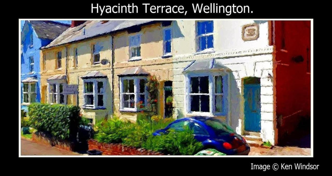 ويلينغتون Hyacinth Bed & Breakfast المظهر الخارجي الصورة
